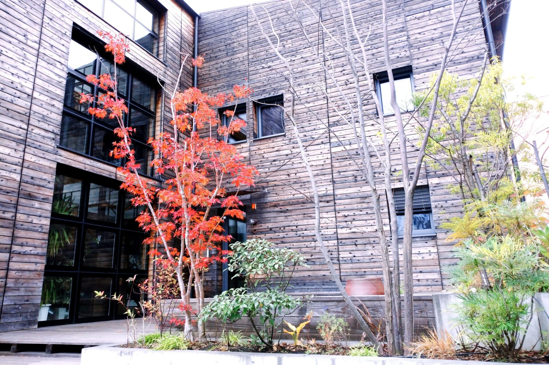 ～植栽のお話～