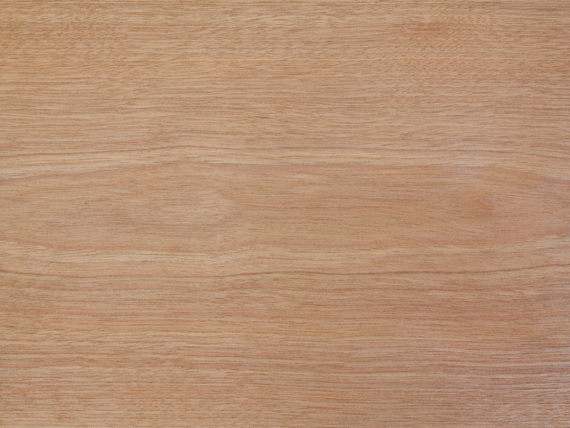 <Kizuki>スタッフが好きな木を紹介　１　淡いピンク色がかわいいサクラの木