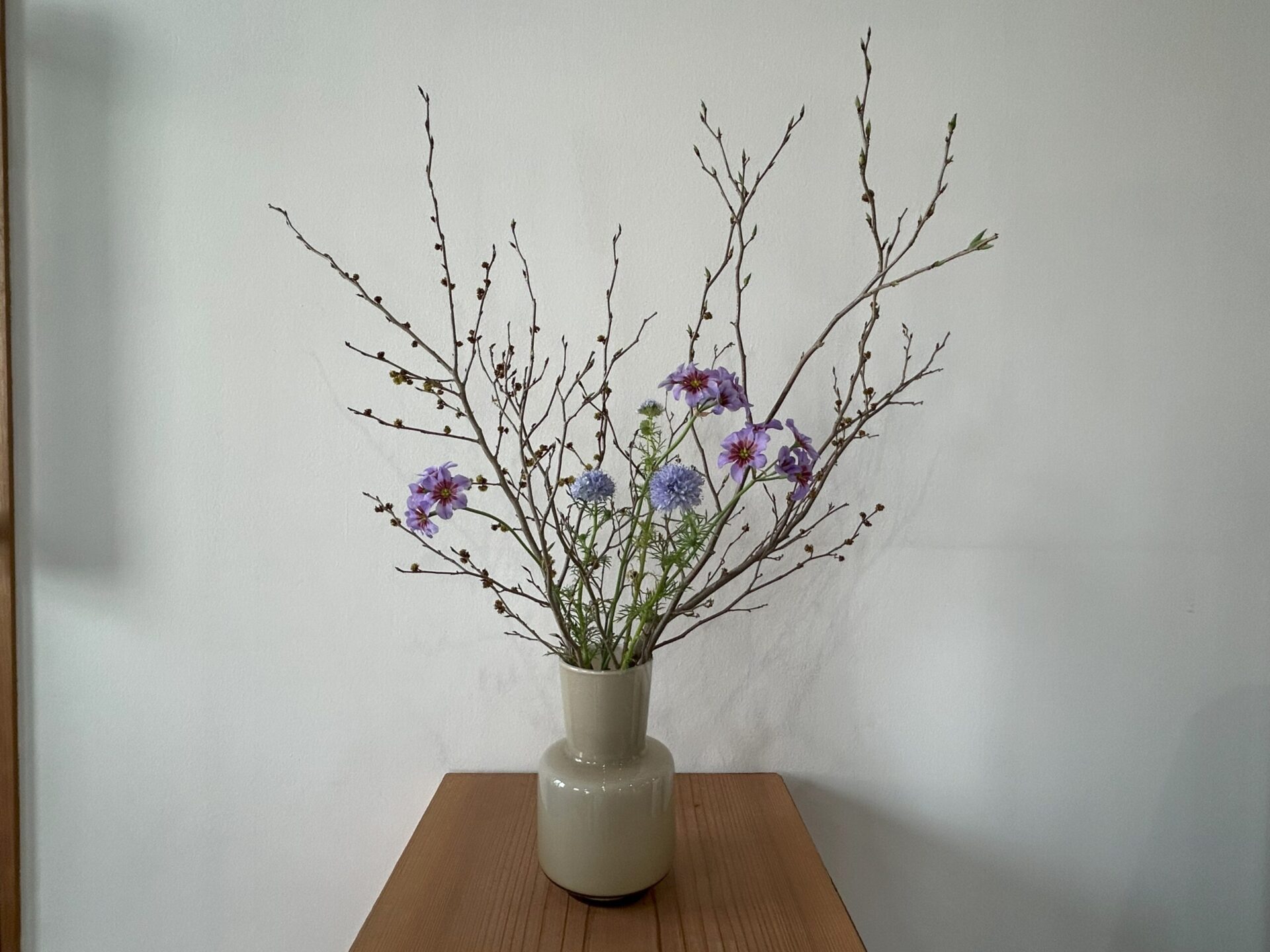 ～今週のいろいろなお花～