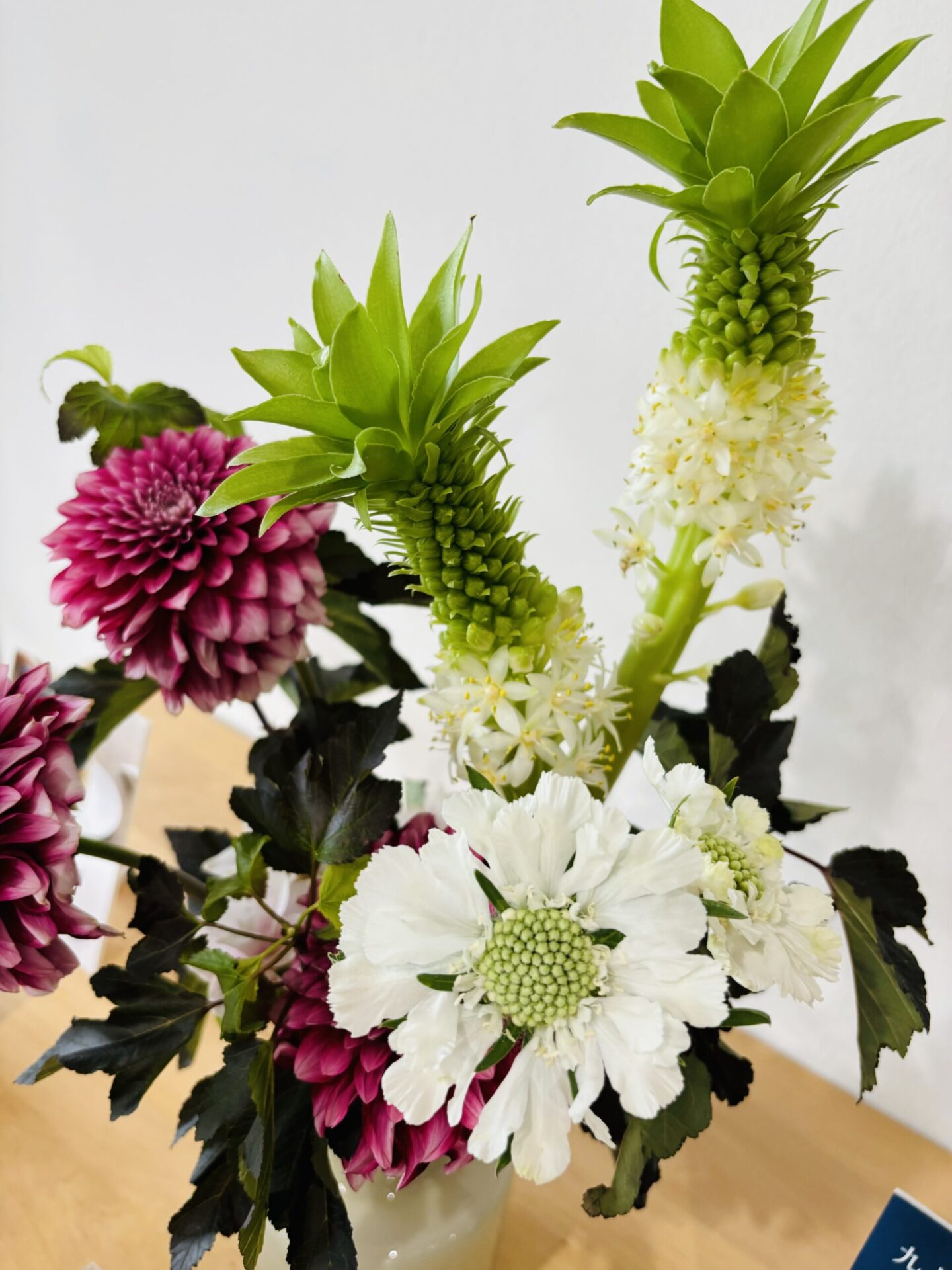 ～今週のお花～