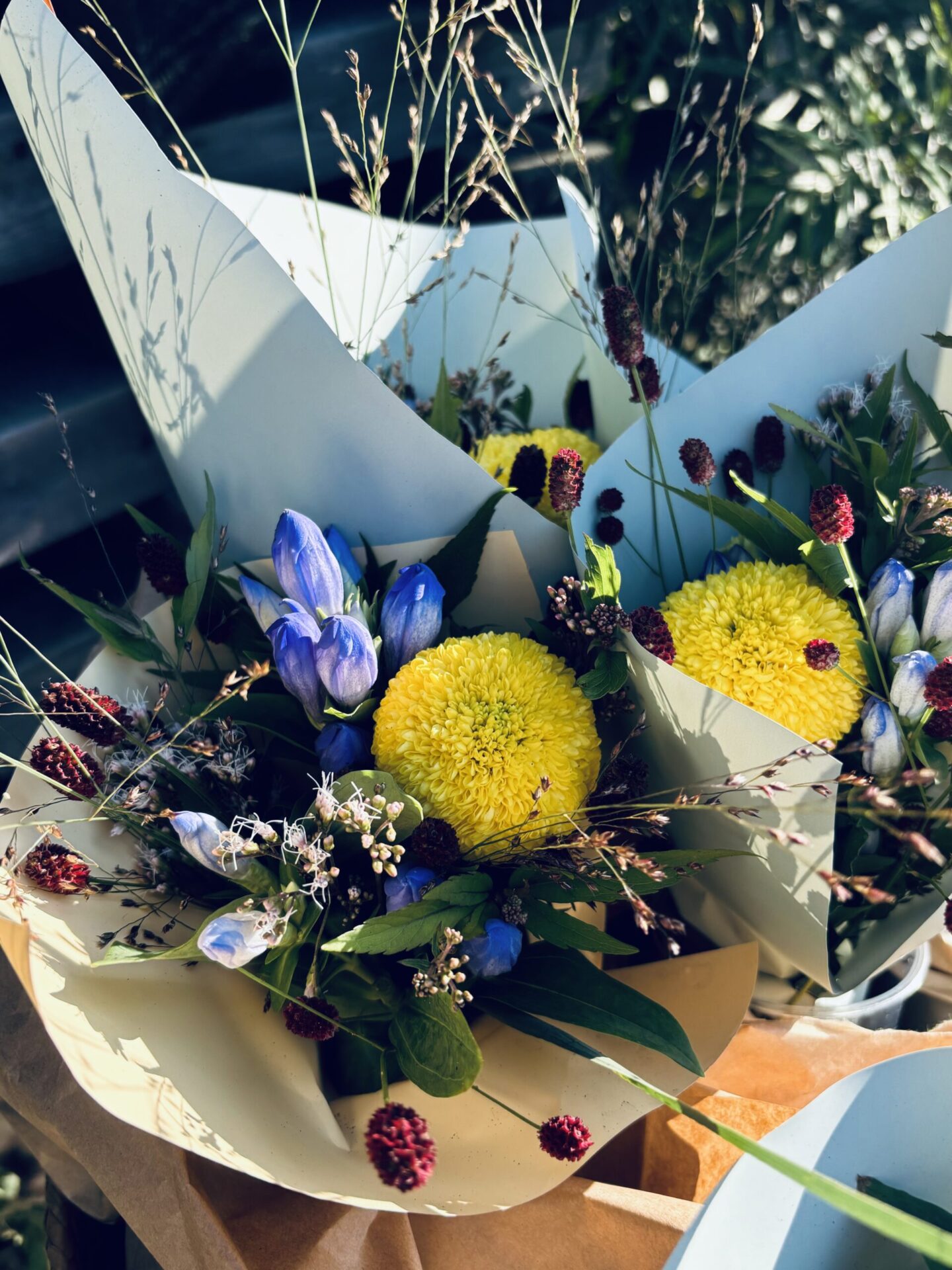 ～今週のお花～