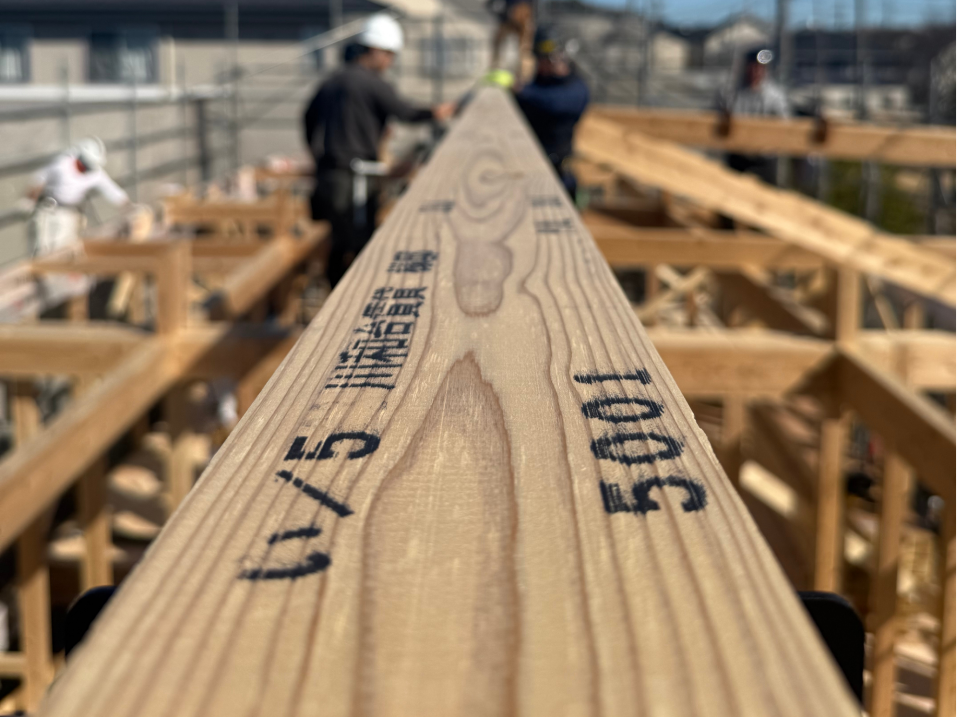 家を建てる前に知っておきたい“国産木材”のこと